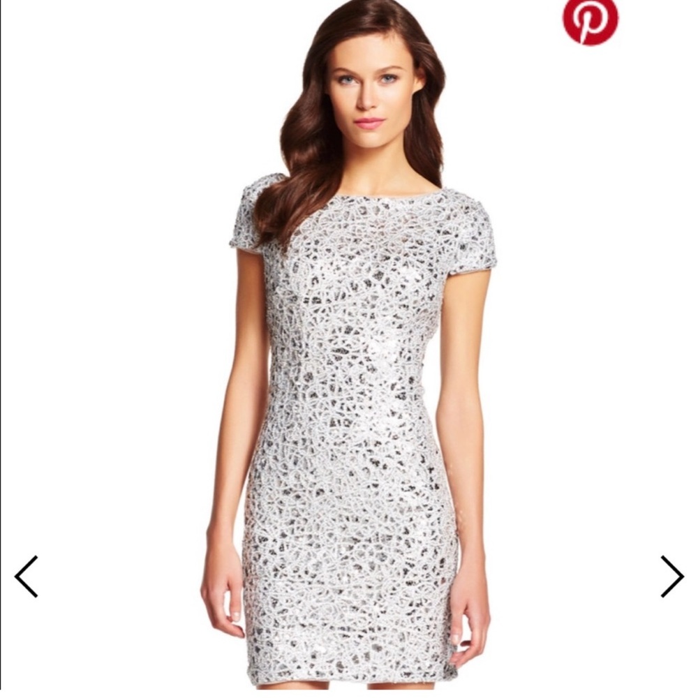 Elegant Silver Lace Dress